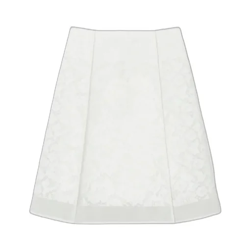 Corded Lace Skirt