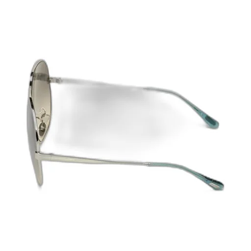 Oversized Frame Sunglasses