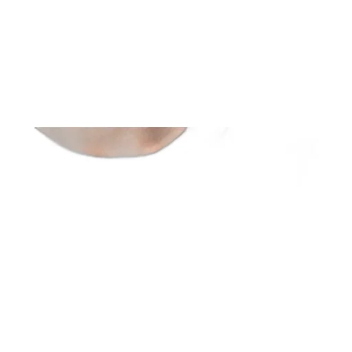 Round Neck T-Shirt