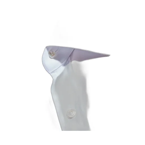 Poplin Slim Fit Shirt