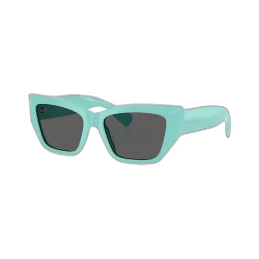 Cat-Eye Frame Sunglasses
