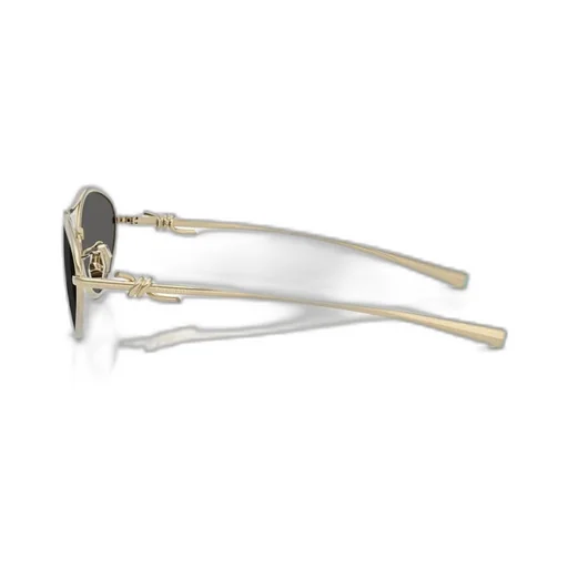 Frame Sunglasses