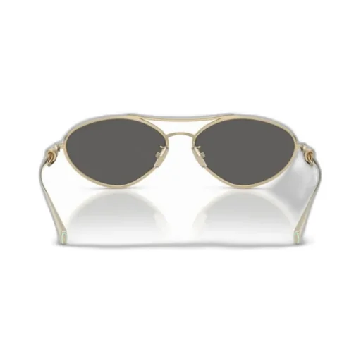 Frame Sunglasses