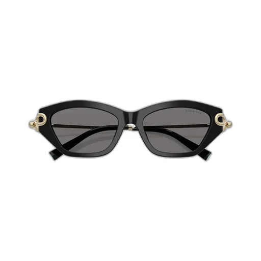 Frame Sunglasses