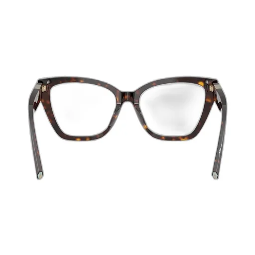 Cat Eye Frame Plain Glasses
