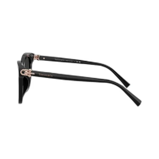 Geometric Frame Sunglasses