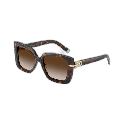 Square Frame Sunglasses