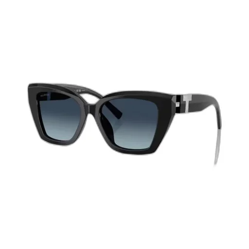 Butterfly Frame Sunglasses