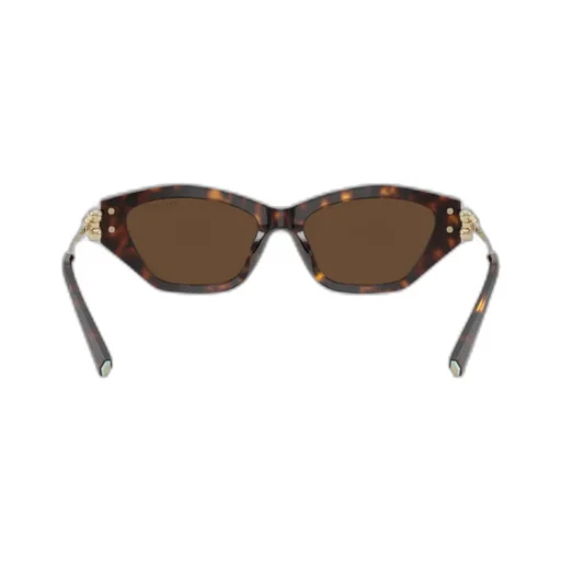 Geometric Sunglasses