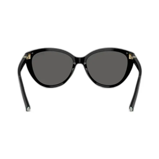 Cat-Eye Frame Sunglasses
