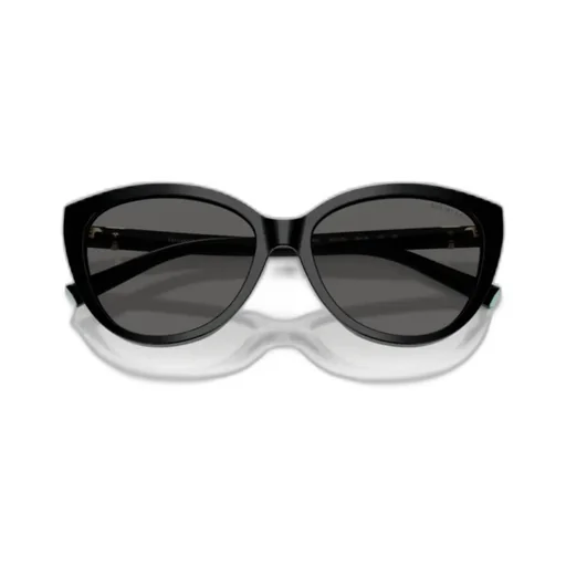 Cat-Eye Frame Sunglasses
