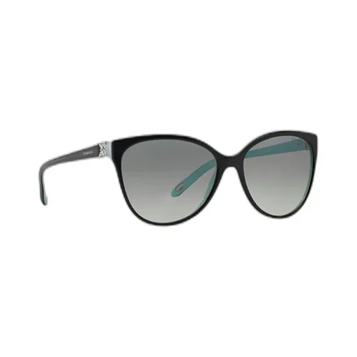 Full Frame Sunglasses