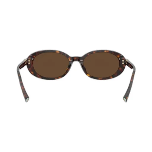 Full Frame Sunglasses