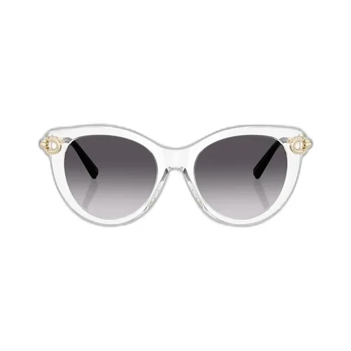 Full Frame Sunglasses