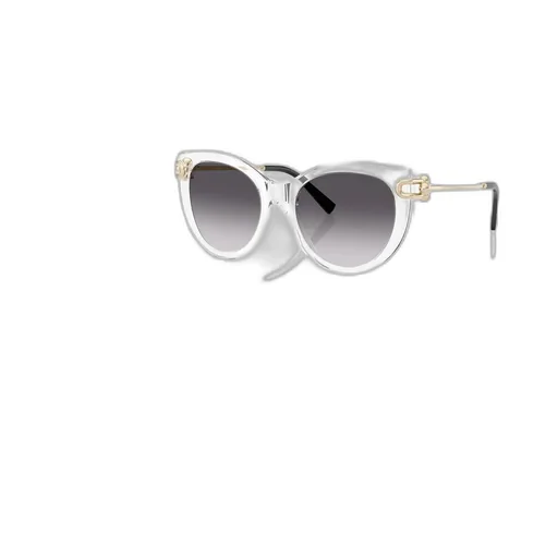 Full Frame Sunglasses