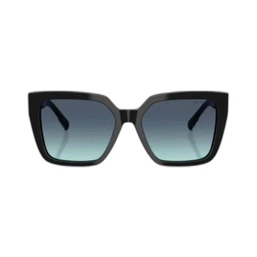 Full Frame Sunglasses