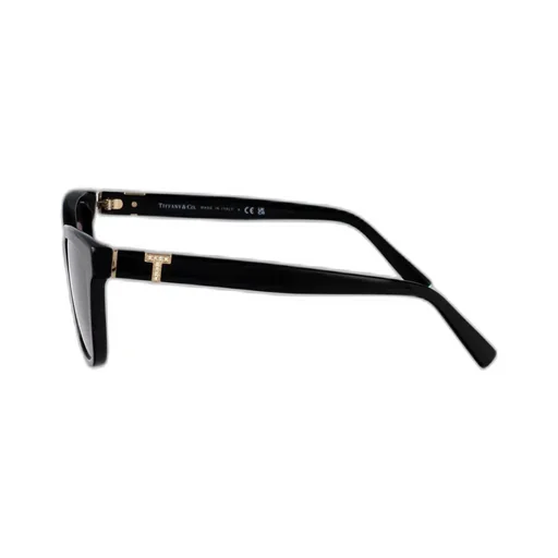 Full Frame Sunglasses
