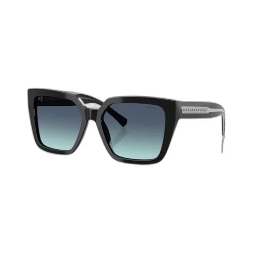 Full Frame Sunglasses