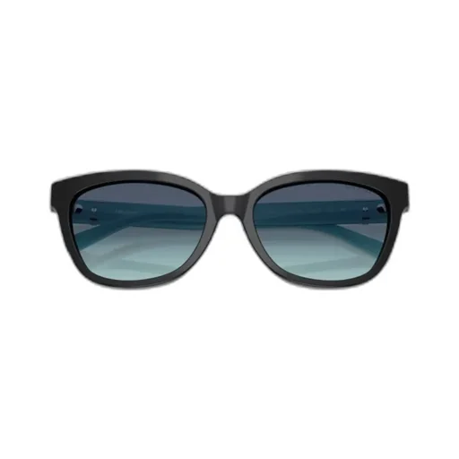 Full Frame Sunglasses