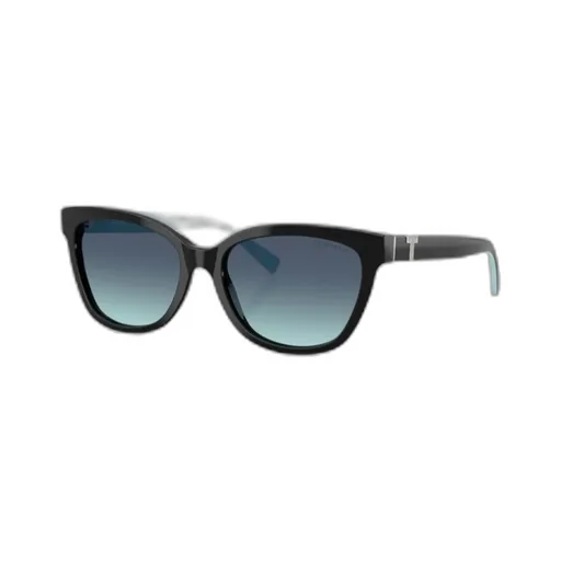 Full Frame Sunglasses