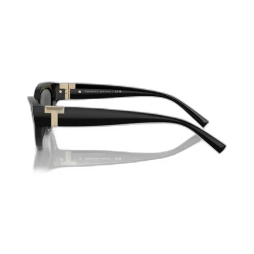 Cat-Eye Frame Sunglasses