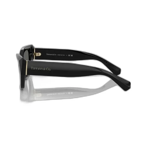 Full Frame Sunglasses