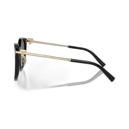 Full Frame Sunglasses