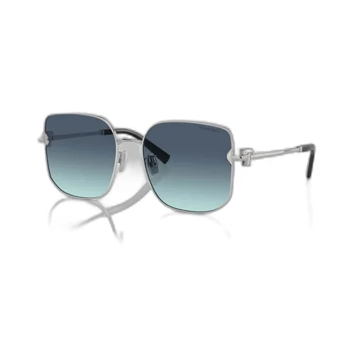 Full-Frame Sunglasses