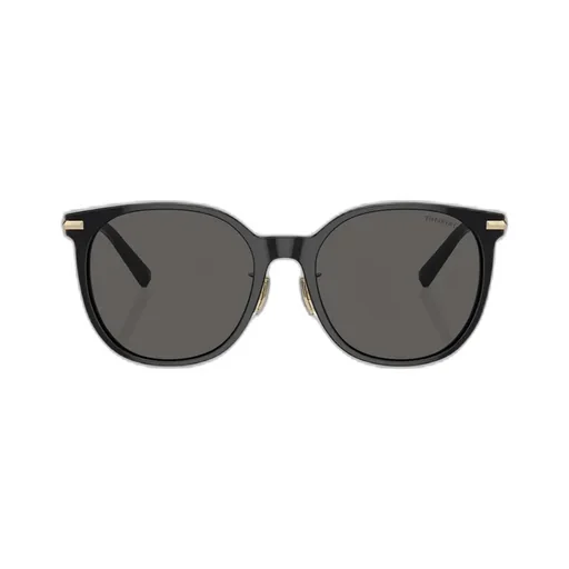 Full Frame Sunglasses