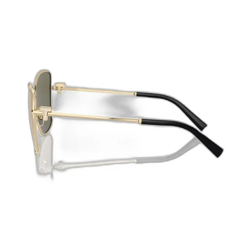 Butterfly Frame Sunglasses