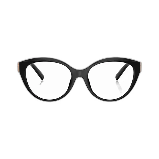 Cat Eye Frame Glasses
