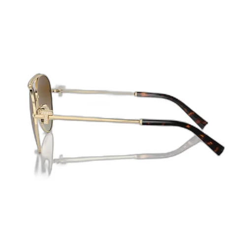 Full Frame Sunglasses