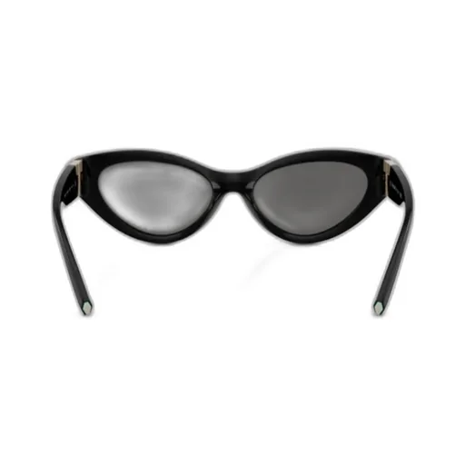 Cat-Eye Frame Sunglasses