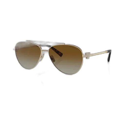 Full Frame Sunglasses