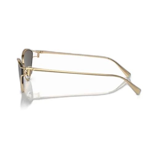 Cat-Eye Frame Sunglasses