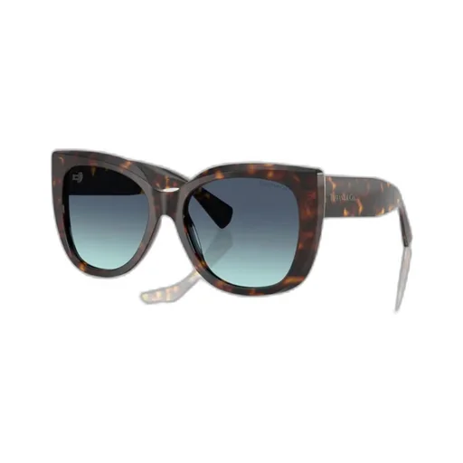 Square Frame Sunglasses