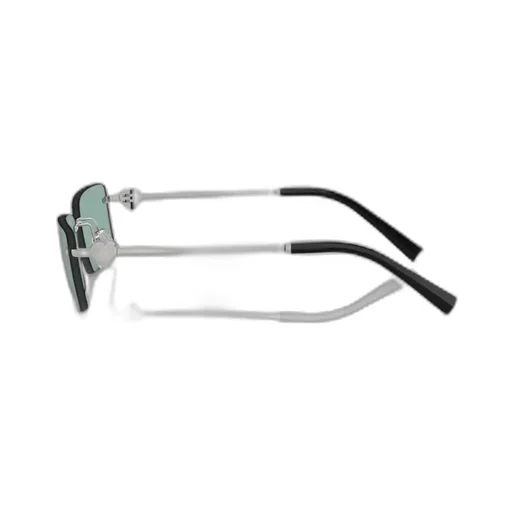 Rectangular Sunglasses