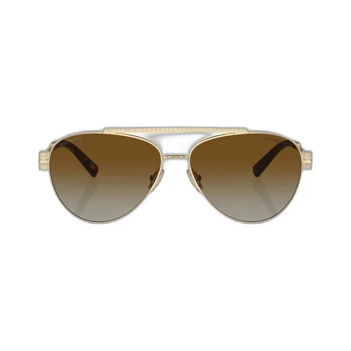 Full Frame Sunglasses