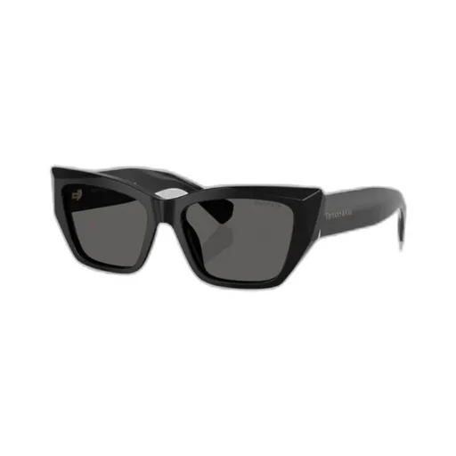 Full Frame Sunglasses