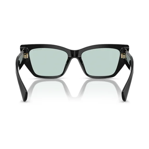 Cat-Eye Frame Sunglasses