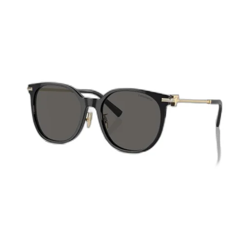 Full Frame Sunglasses