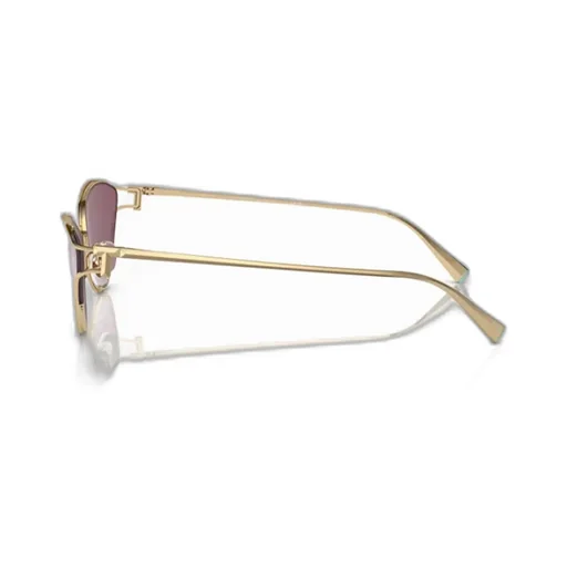 Cat-Eye Frame Sunglasses