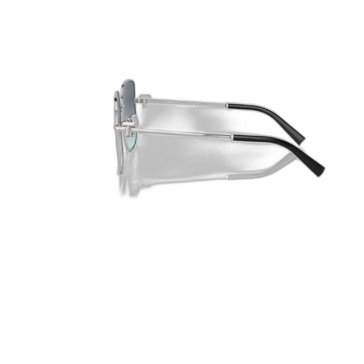 Full-Frame Sunglasses