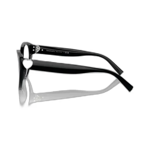 Cat Eye Eyeglasses