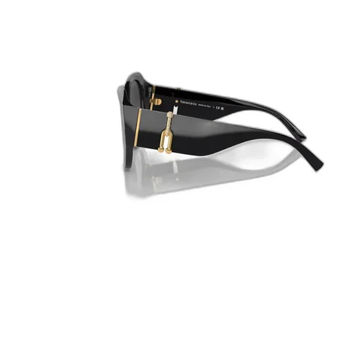 Logo Sunglasses