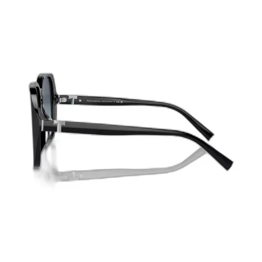 Full Frame Sunglasses