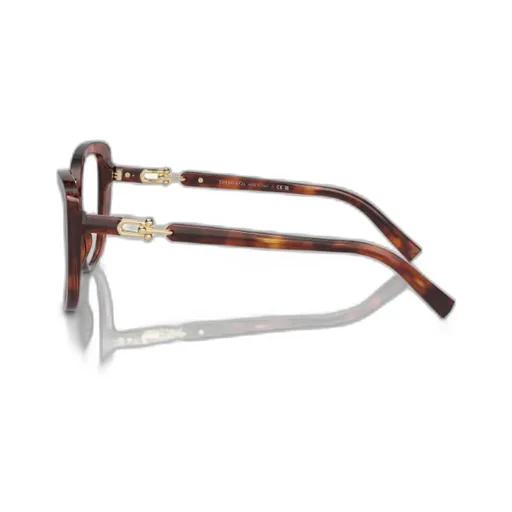 Cat Glasses Frame