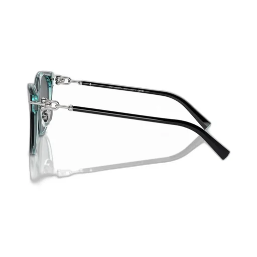 Full Frame Sunglasses
