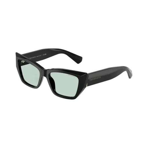 Cat-Eye Frame Sunglasses