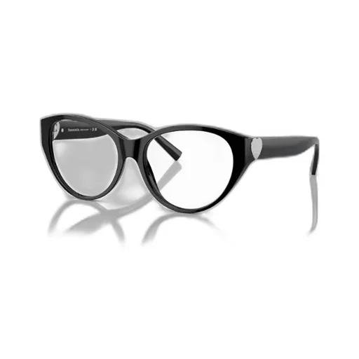 Cat Eye Eyeglasses